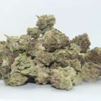 Apple Fritter THCA Hemp Flower Smalls