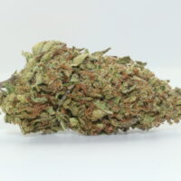 Blue Cheese THCA Hemp Flower