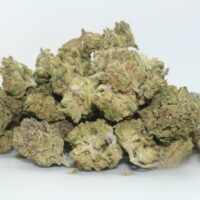 Gary Payton THCA Hemp Flower Smalls