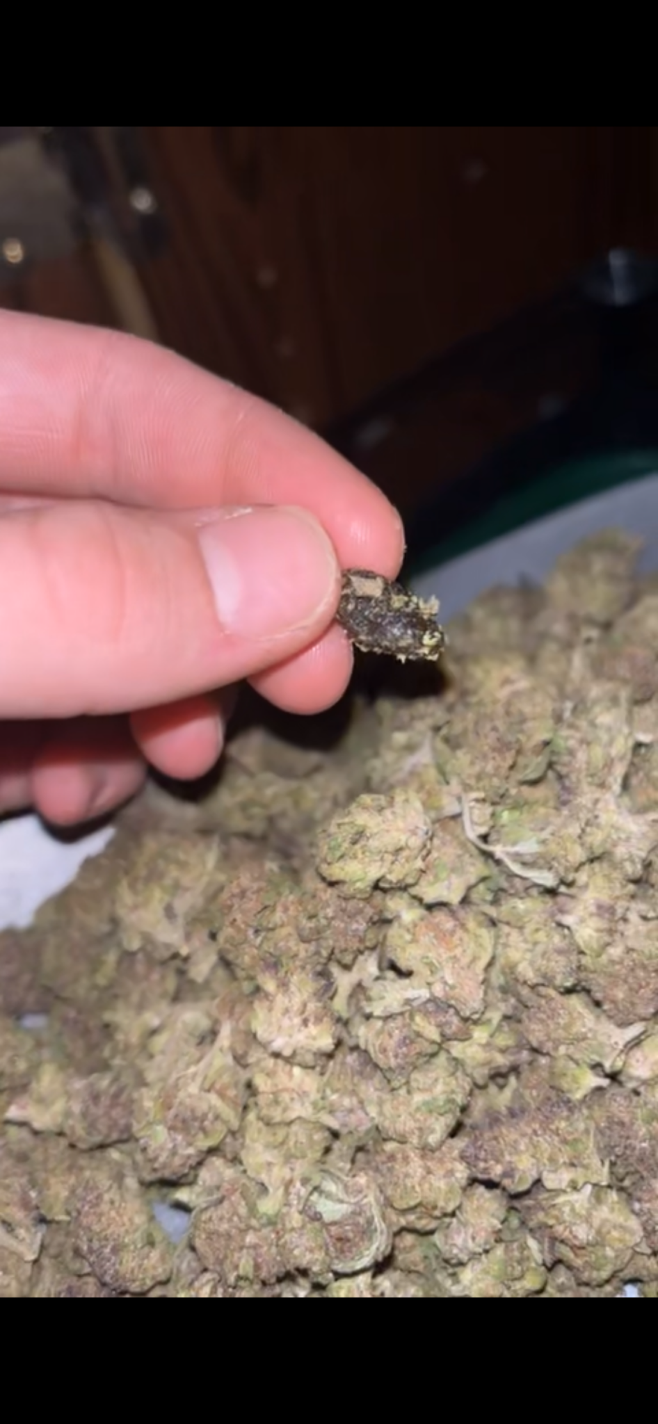 Image #2 from landon wise