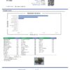 Lucifer OG Terpenes Certificate of Analysis