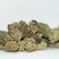 Purple Kush THCA Hemp Flower Smalls