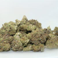 Sunset Sherbet THCA Hemp Flower Smalls