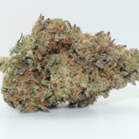 Trainwreck THCA Hemp Flower