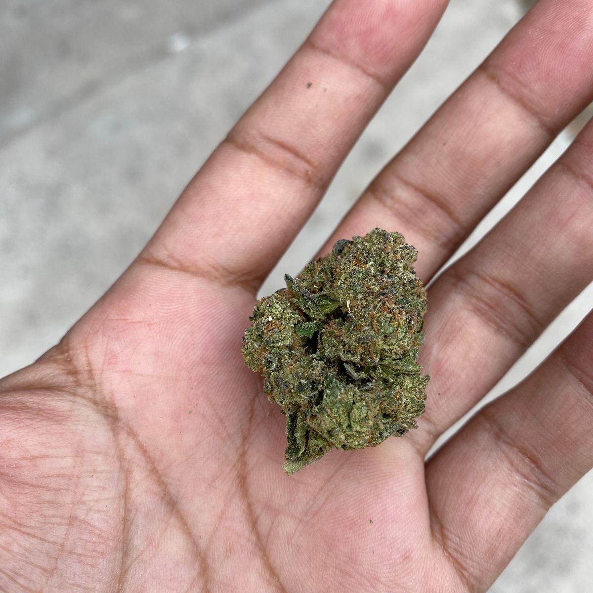 Image #1 from Dr.Ganja Customer