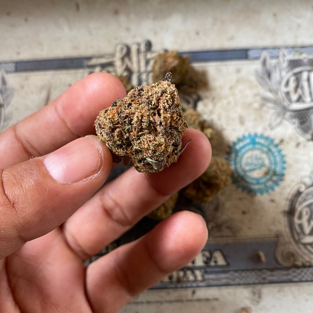 Image #1 from Dr.Ganja Customer