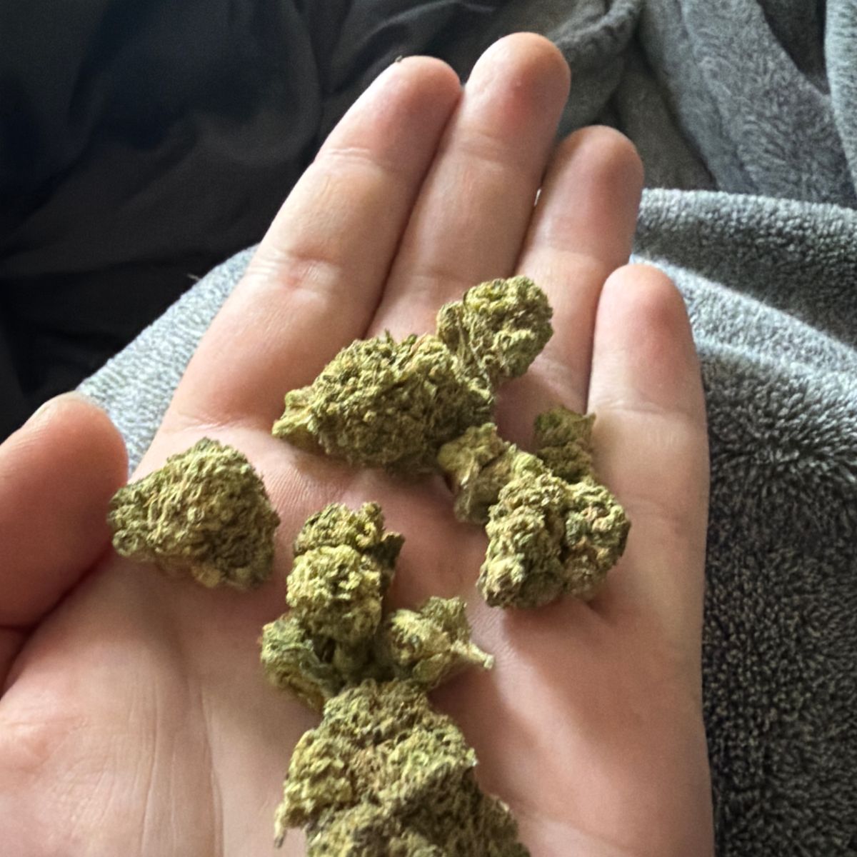 Image #1 from Bryce P.