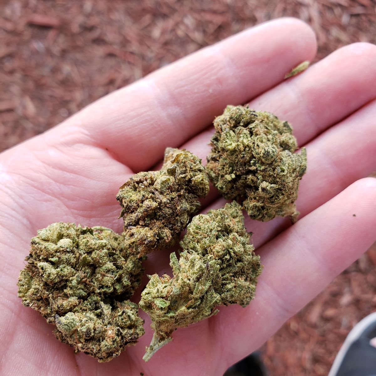 Image #1 from Hailey