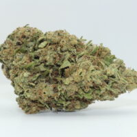 Acapulco Gold THCA Hemp Flower