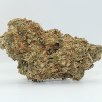 Rainbow Runtz THCA Hemp Flower