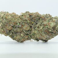 Berry White THCA Hemp Flower