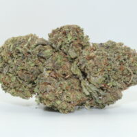 Blue Skunk THCA Hemp Flower
