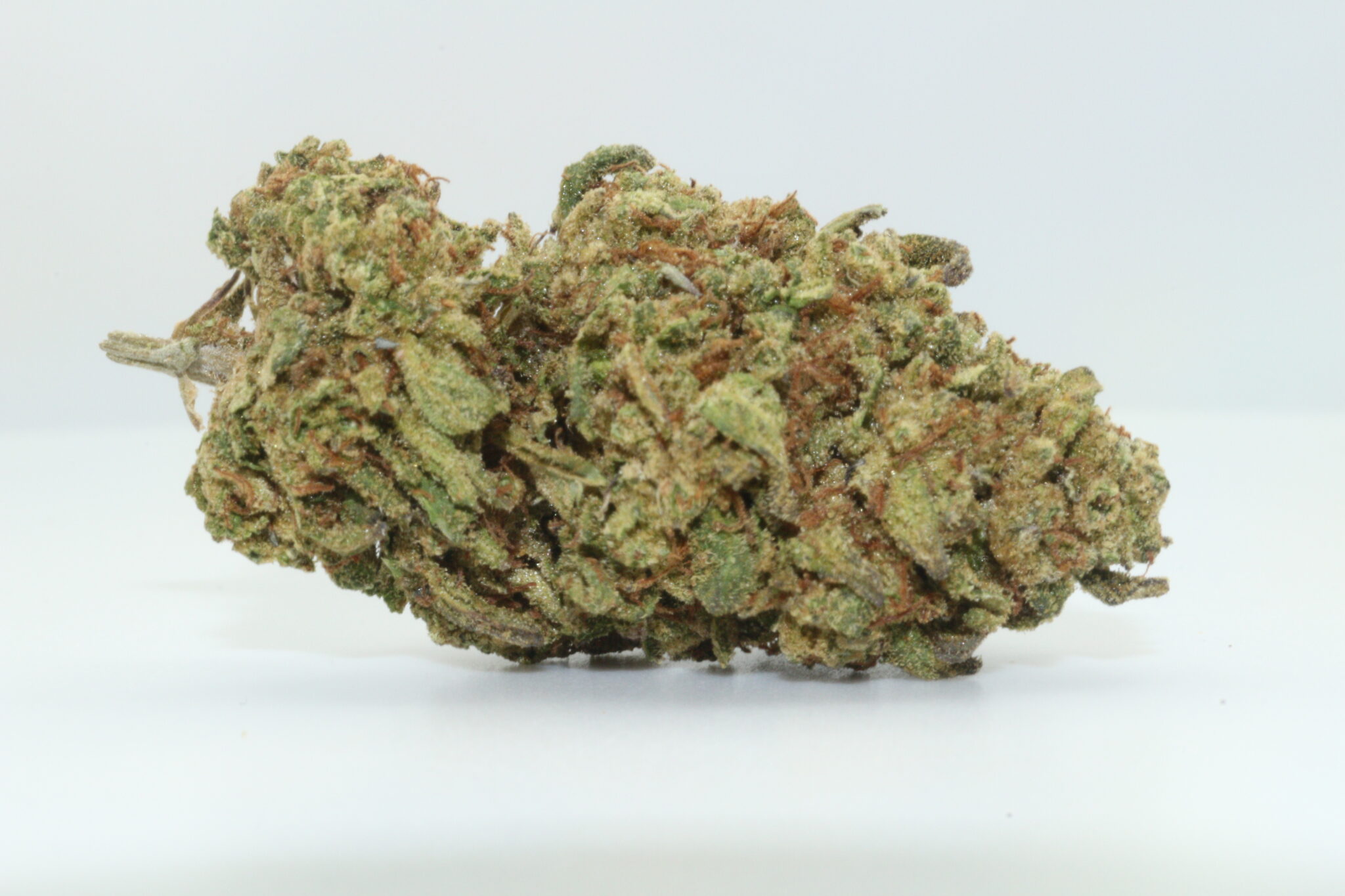Funk Bomb - Dr.Ganja