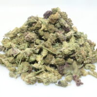 Gelato 41 THCA Hemp Flower Smalls