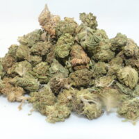 Greasy Runtz THCA Hemp Flower