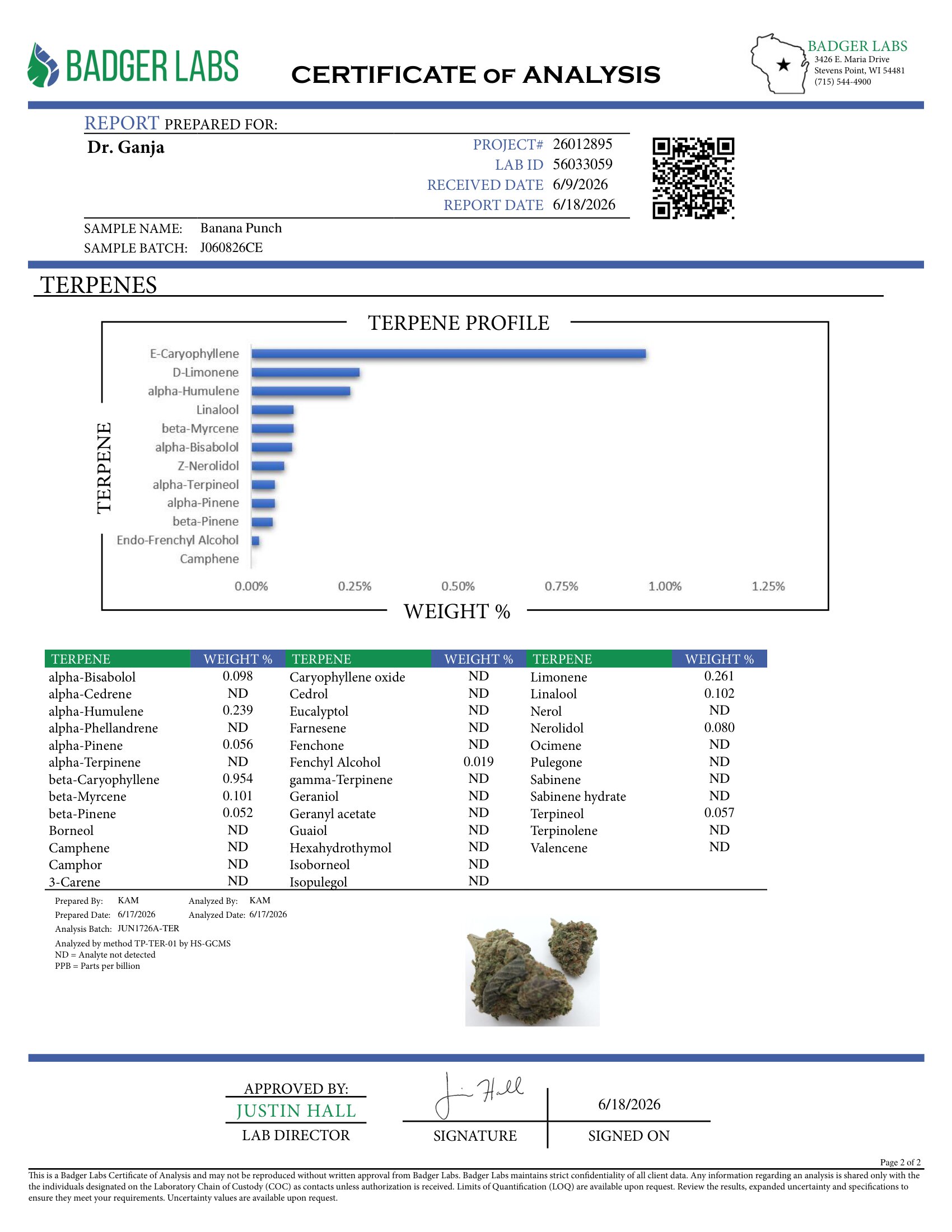 Banana Punch Terpenes Certificate of Analysis