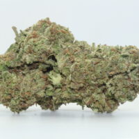 Purple Cream THCA Hemp Flower