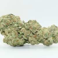 Alien Mints THCA Hemp Flower
