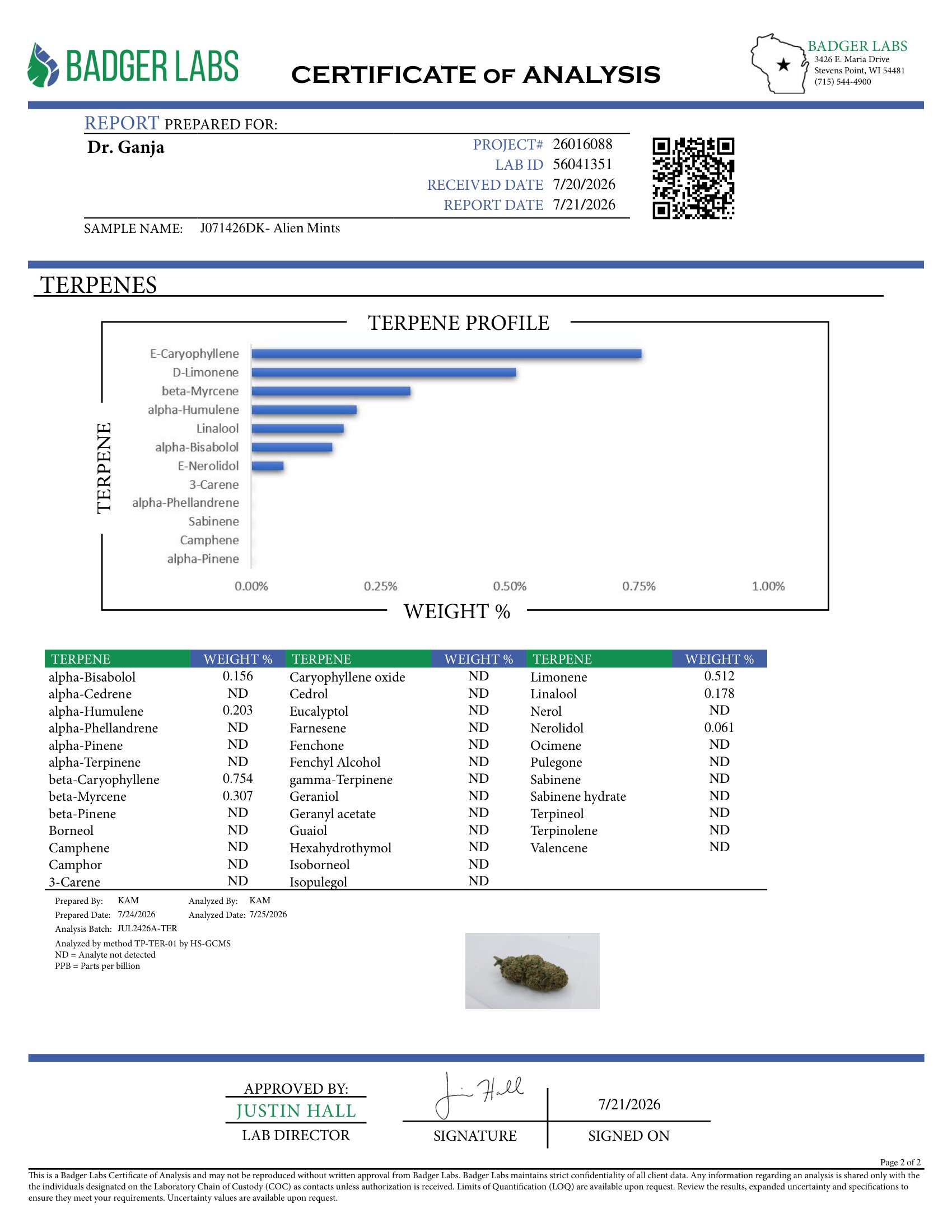 Alien Mints Terpenes Certificate of Analysis