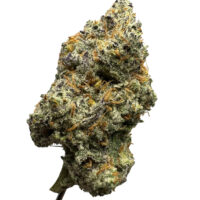 Alien Mintz Exotic THCA Hemp Flower