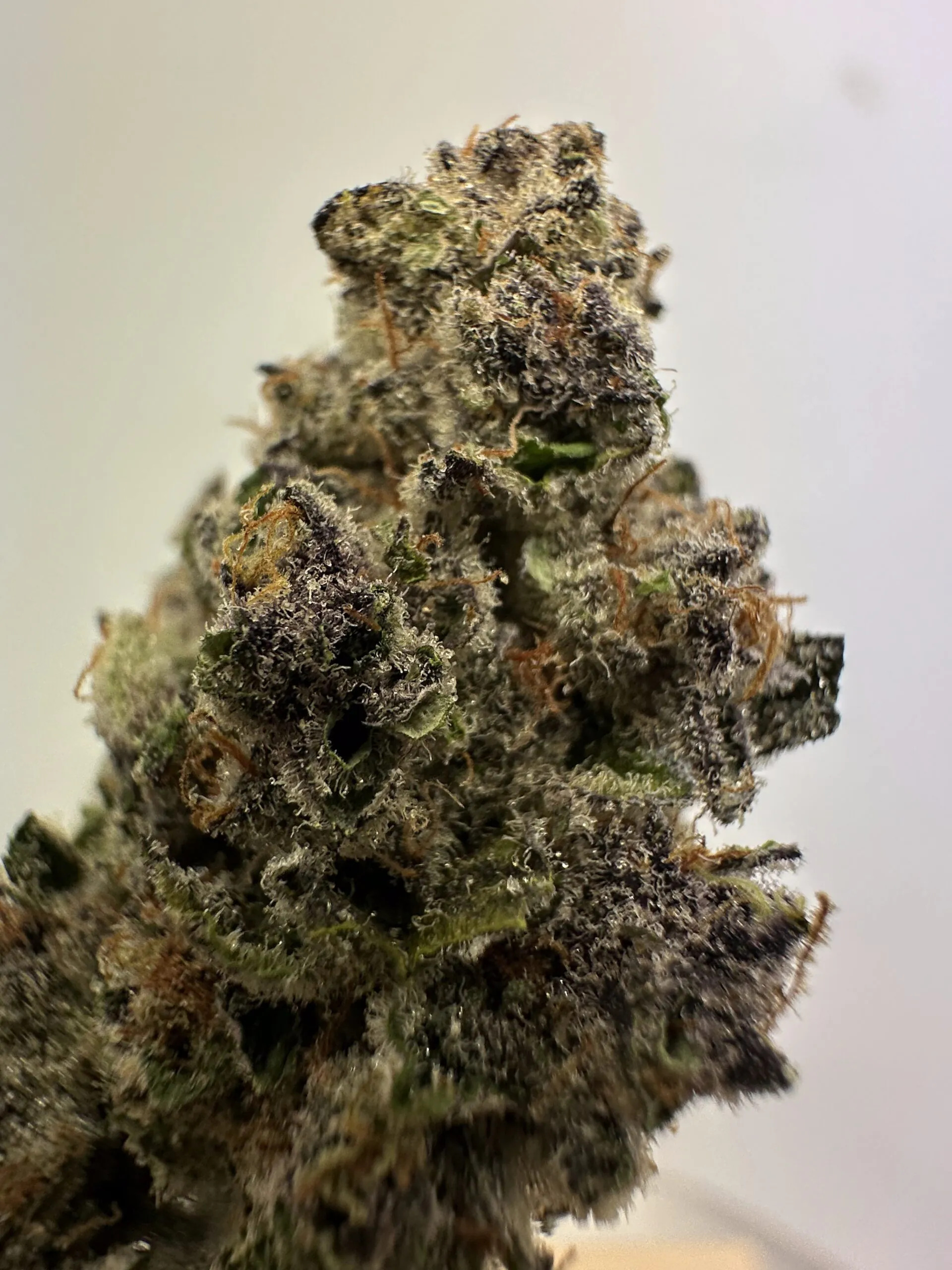 Berry Pie Exotic Hemp Flower THCA