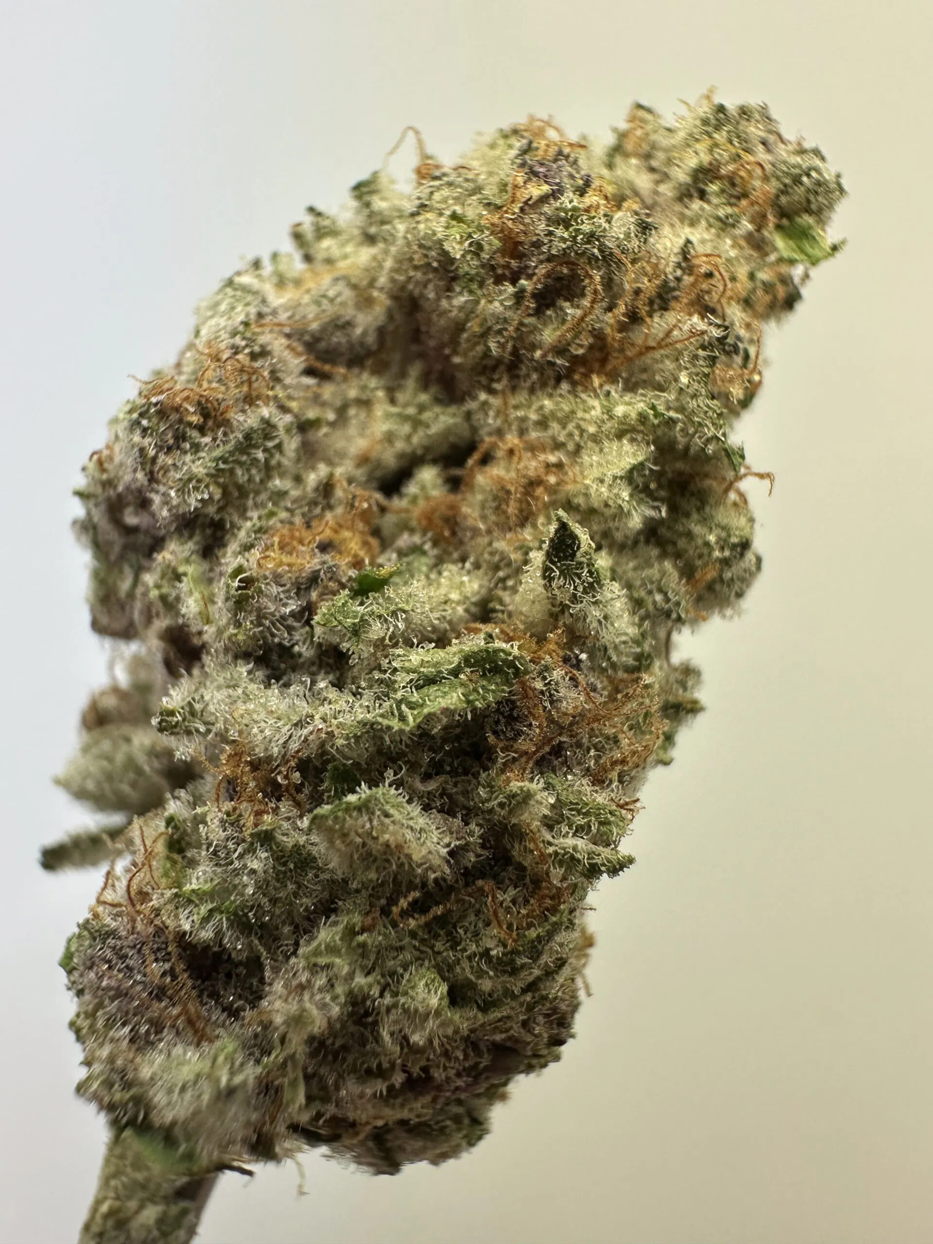 Berry Pie Exotic THCA Hemp Flower