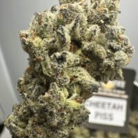 Cheetah Piss Exotic THCA Hemp Flower
