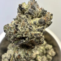 Cookies Cream Exotic THCA Hemp Flower