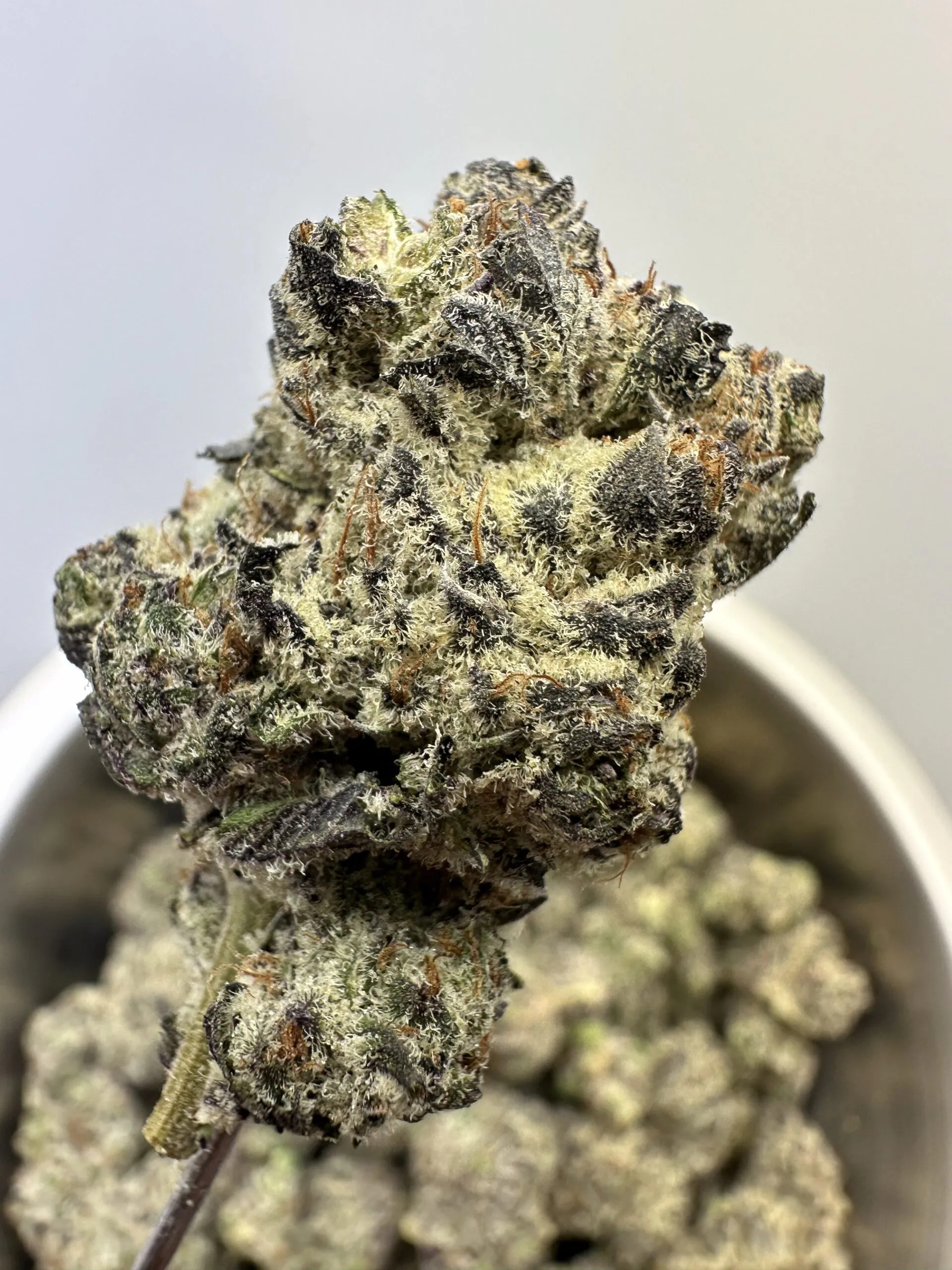 Cookies Cream Exotic THCA Hemp Flower