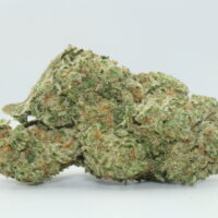Frozen Lemons THCA Hemp Flower