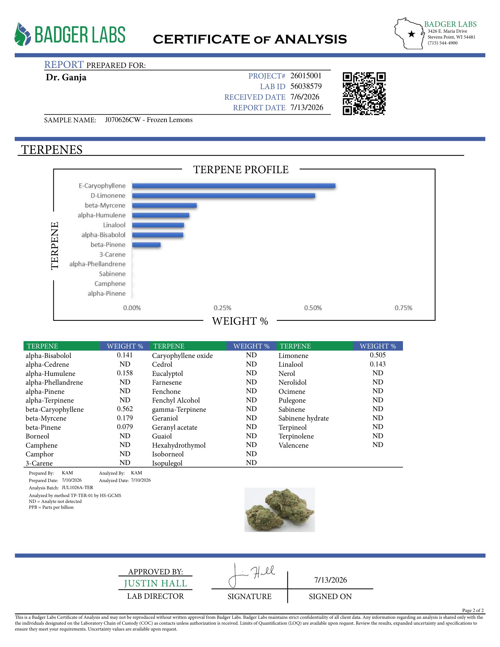 Frozen Lemons Terpenes Certificate of Analysis