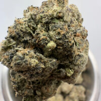 Glitter Glue Exotic THCA Hemp Flower