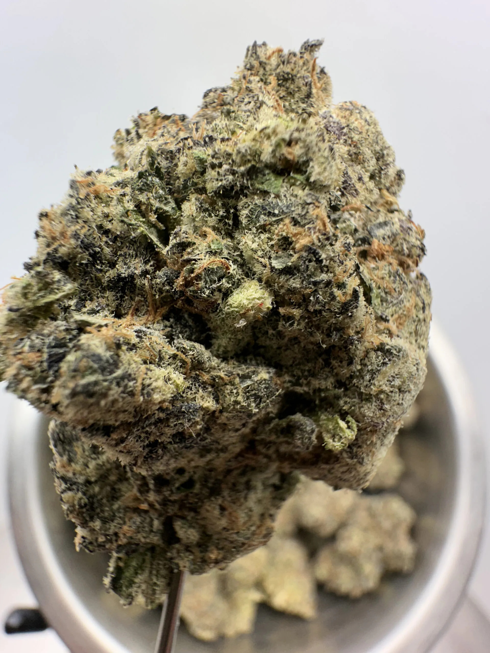 Glitter Glue Exotic THCA Hemp Flower