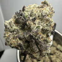 MAC1 Exotic THCA Flower