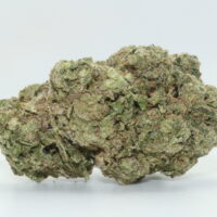 Medellin THCA Hemp Flower