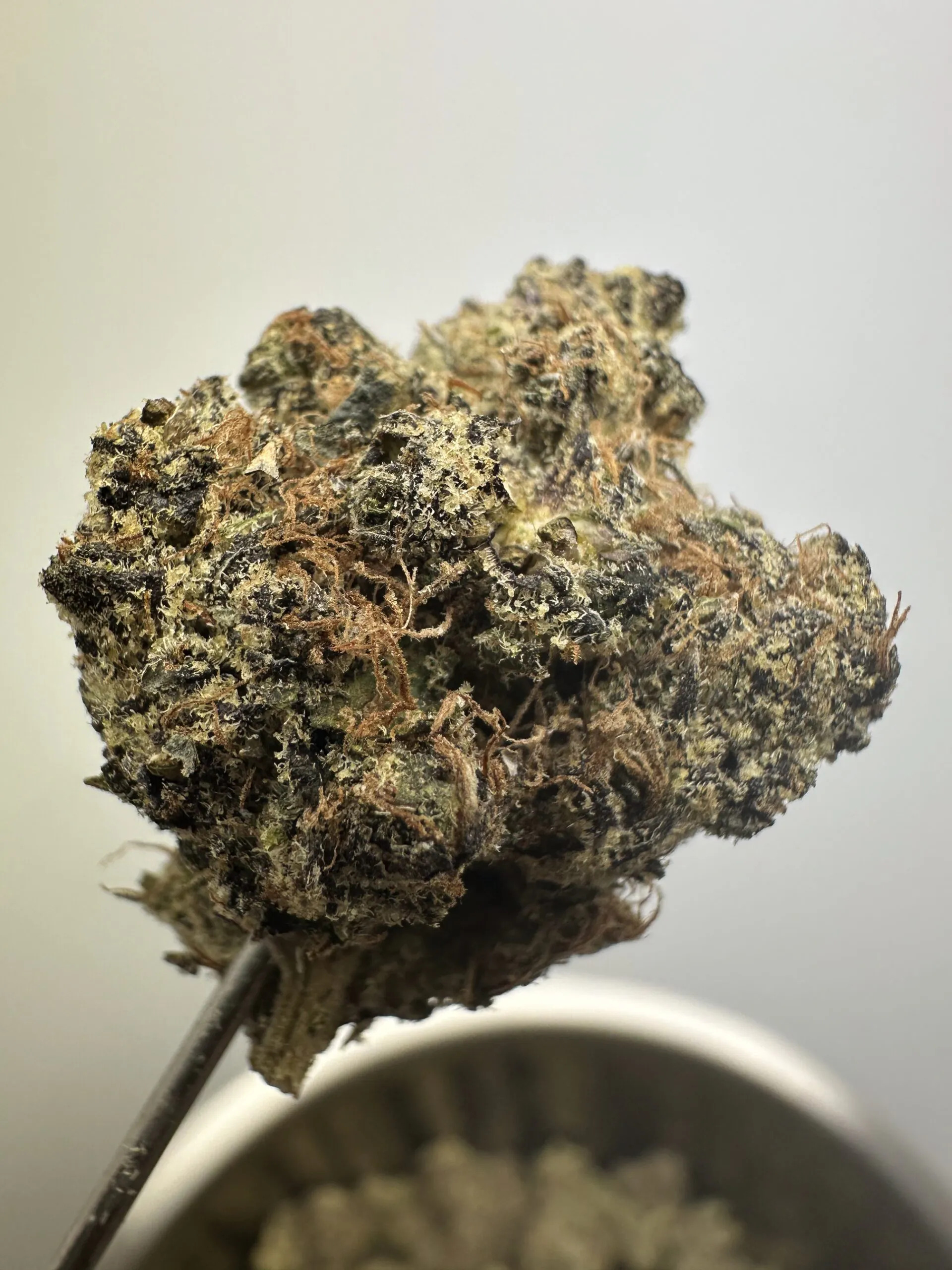 Purple Apricot Mimosa Exotic THCA Hemp Flower