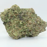 Watermelon Gelato THCA Hemp Flower