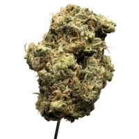 Blue Dream Exotic THCA Hemp Flower