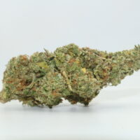 Blueberry Cheesecake THCA Hemp Flower