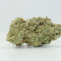 Colombian Gold THCA Hemp Flower