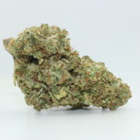 Lemon Tree THCA Hemp FLower