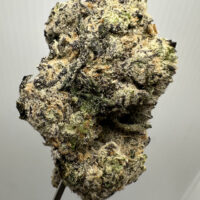 Lizard Burger Exotic THCA Hemp Flower