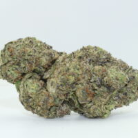London Purpz THCA Hemp Flower