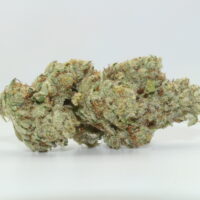 Space Cadet THCA Hemp Flower