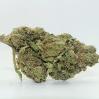 White Gummy THCA Hemp Flower