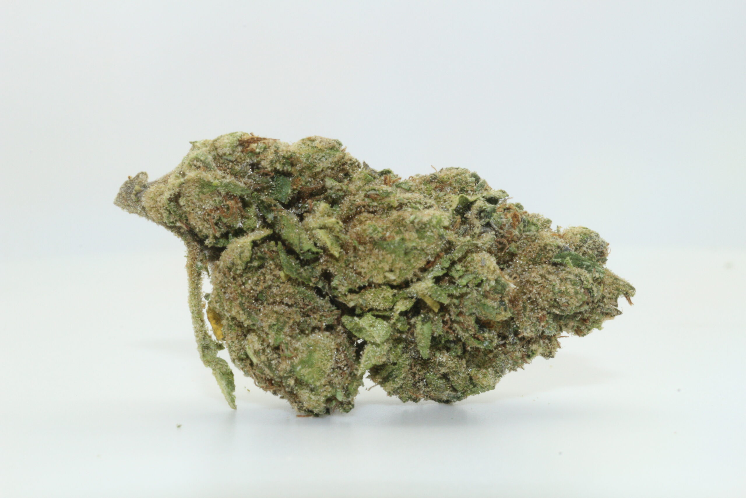 White Gummy THCA Hemp Flower