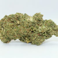 Zkittlez 2.0