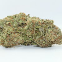 Banana Runtz THCA Hemp Flower
