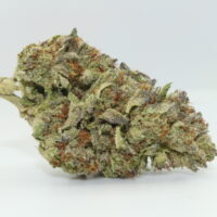 Gator Breath THCA Hemp Flower