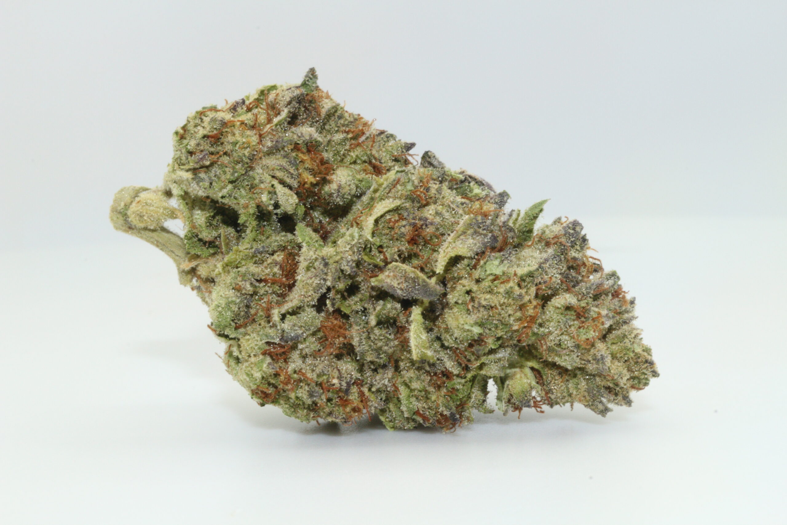 Gator Breath THCA Hemp Flower